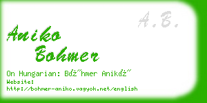 aniko bohmer business card